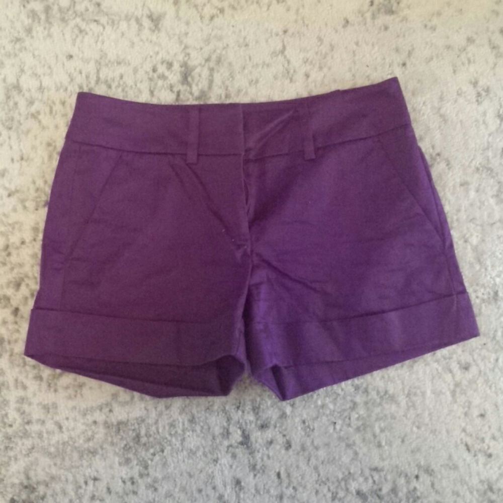 New York & Co. Dressy Purple Shorts